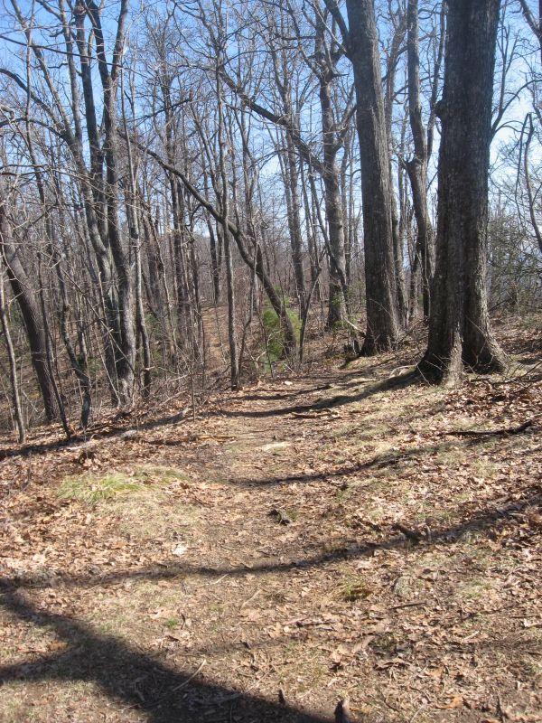 A dirt path leads through a wooded area with bare trees and scattered leaves, under a clear blue sky. Black Mountain mountain bike trail.