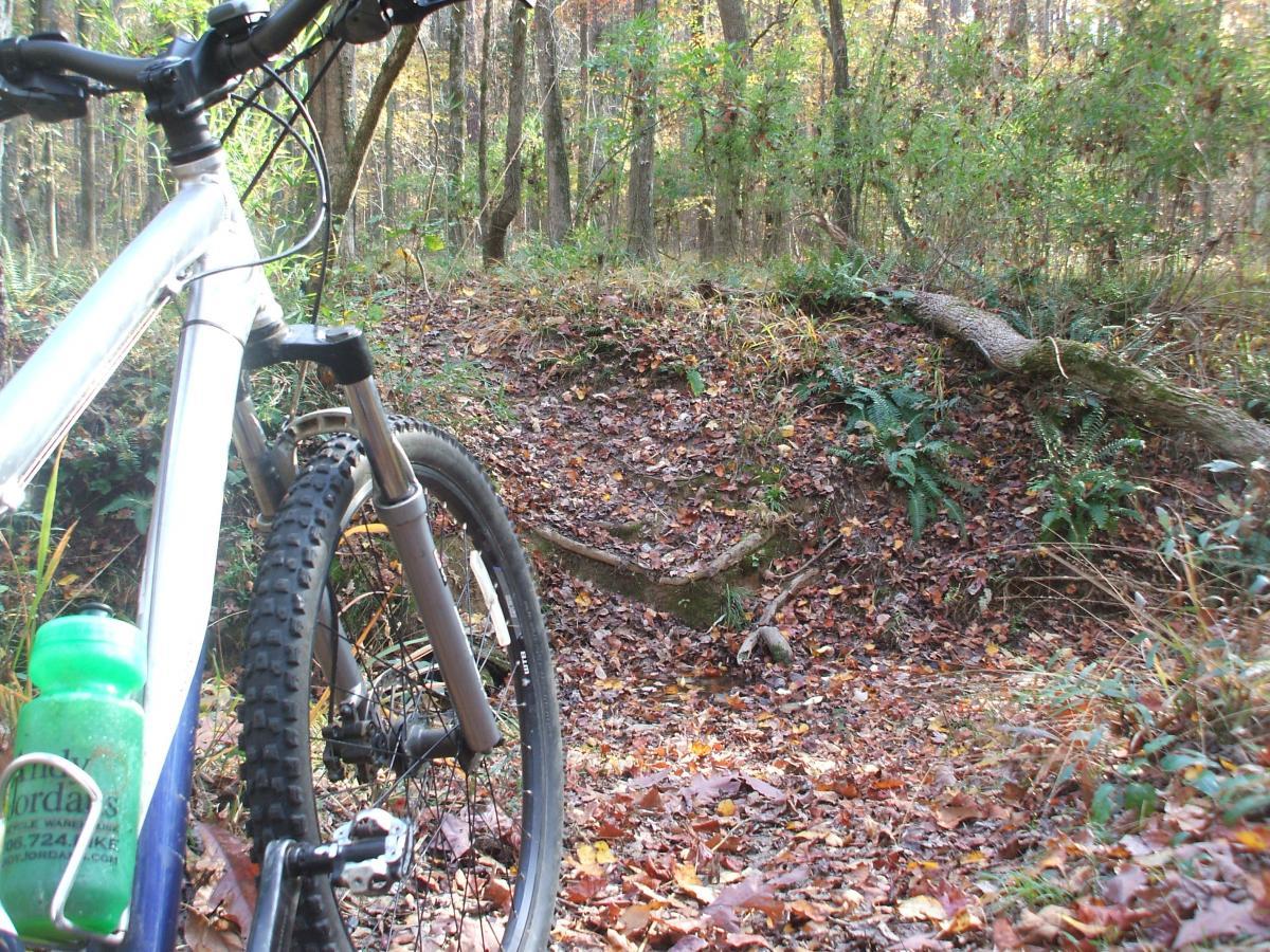 A mountain bike is parked on a leaf-covered trail in a lush forest. The bike features a green water bottle attached to its frame, with trees and ferns surrounding the path. Sunlight filters through the foliage, creating a serene outdoor scene. Keg Creek mountain bike trail.