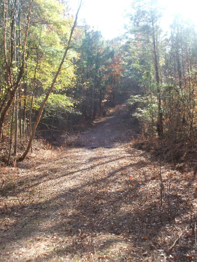 A winding dirt path through a sunlit forest, surrounded by trees with vibrant green and autumn-colored leaves. The ground is covered in dried leaves and the trail gently slopes downward, inviting exploration. Keg Creek mountain bike trail.