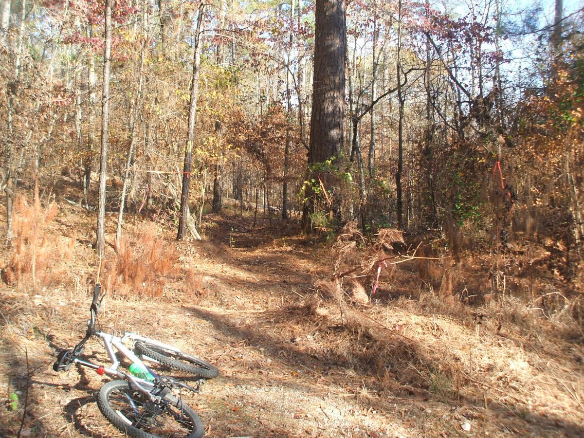 A mountain bike lies on the ground near a dirt path winding through a wooded area with autumn foliage. Tall trees with sparse leaves create a natural backdrop, while bits of orange and brown vegetation are visible on the ground. The scene appears peaceful and untouched, suggesting a serene outdoor environment for cycling or exploring. Keg Creek mountain bike trail.