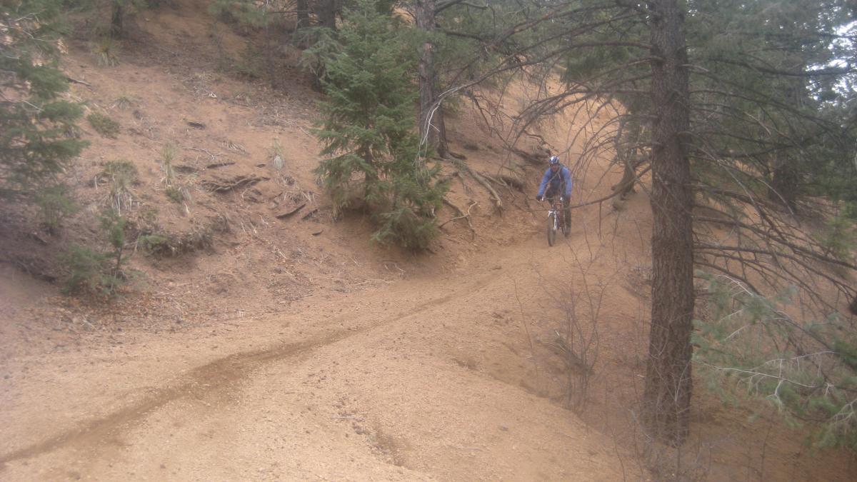 A mountain biker riding on a dirt trail through a forested area with sandy terrain and trees. The path curves around a slope, indicating a challenging biking route. Captain Jack's mountain bike trail.