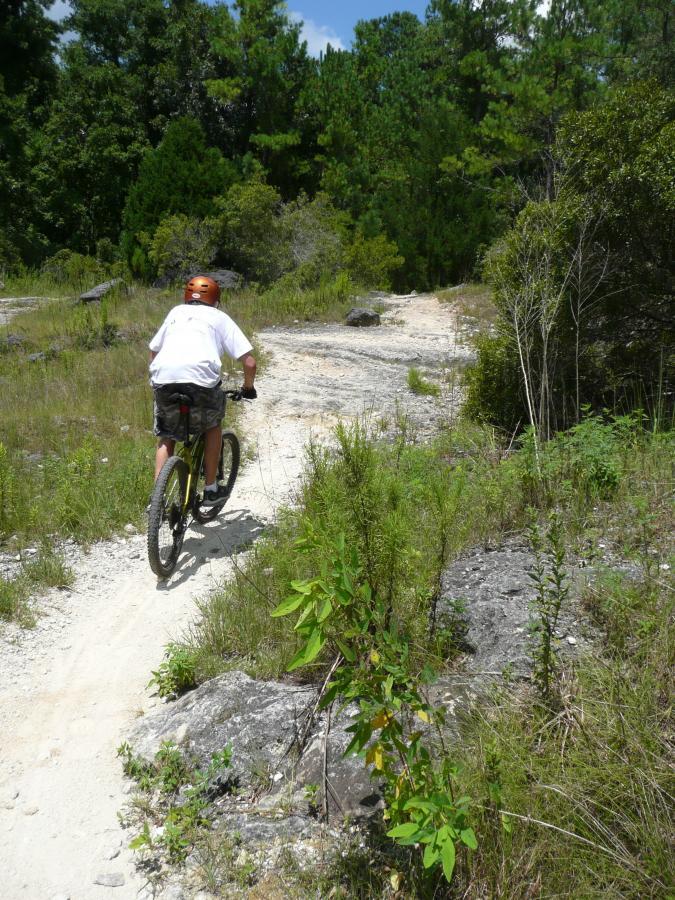 A person riding a mountain bike along a dirt trail surrounded by dense greenery and rocks on a sunny day. The cyclist is wearing a white shirt and an orange helmet, navigating the winding path through the natural landscape. Santos mountain bike trail.