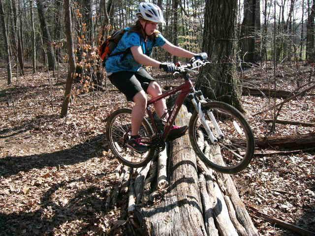 A person wearing a helmet and a blue shirt is riding a mountain bike over a log in a wooded area. The ground is covered with fallen leaves, and trees are visible in the background. The cyclist appears to be in the midst of navigating a trail. Tanglewood Park mountain bike trail.