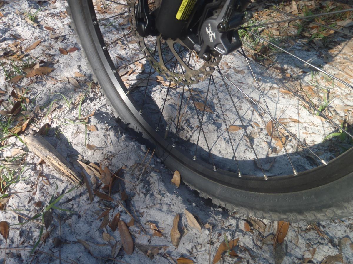 Mountain bike tire on sandy ground, surrounded by fallen leaves and small vegetation. Chacala Trail mountain bike trail.