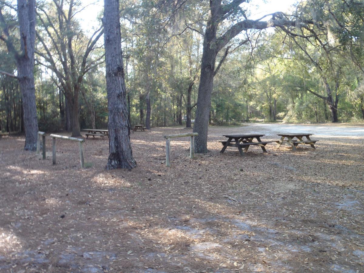 A peaceful outdoor scene featuring several wooden picnic tables under tall trees. The ground is covered with fallen leaves, creating a natural and serene atmosphere. Sunlight filters through the branches, casting soft light on the picnic area, which is surrounded by a lush forest. Chacala Trail mountain bike trail.