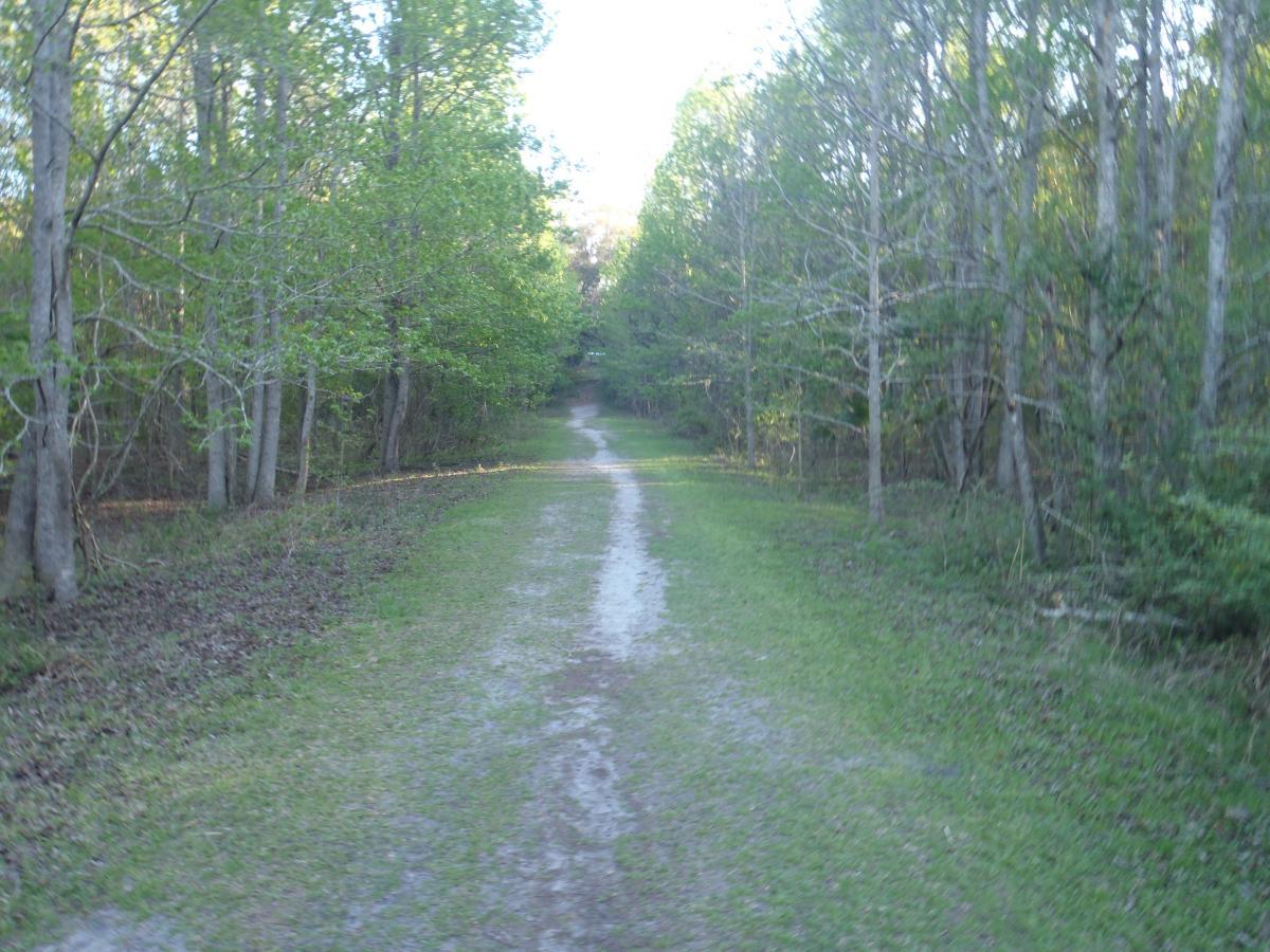 A dirt path surrounded by lush green trees and foliage, leading into a wooded area. The trail is flanked by grass and appears well-used, with dappled sunlight filtering through the leaves. Bolen Bluff Trail mountain bike trail.