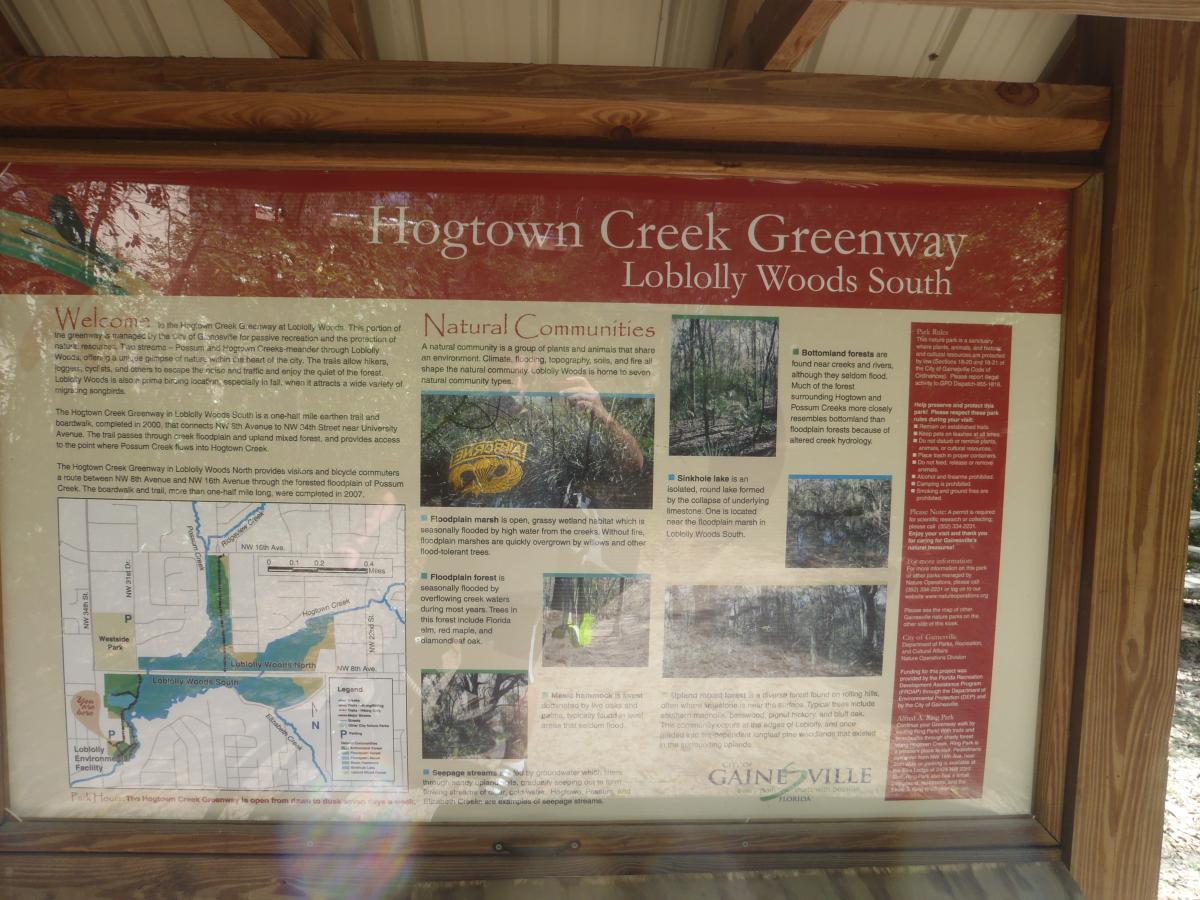 Information sign for Hogtown Creek Greenway at Loblolly Woods South, featuring details about natural communities and environmental features. Includes a welcome message, a map indicating trails, and descriptions of various habitats such as floodplain forests, sinkhole lakes, and marshes. The sign is mounted on a wooden frame in a natural setting. Hogtown Creek Greenway mountain bike trail.