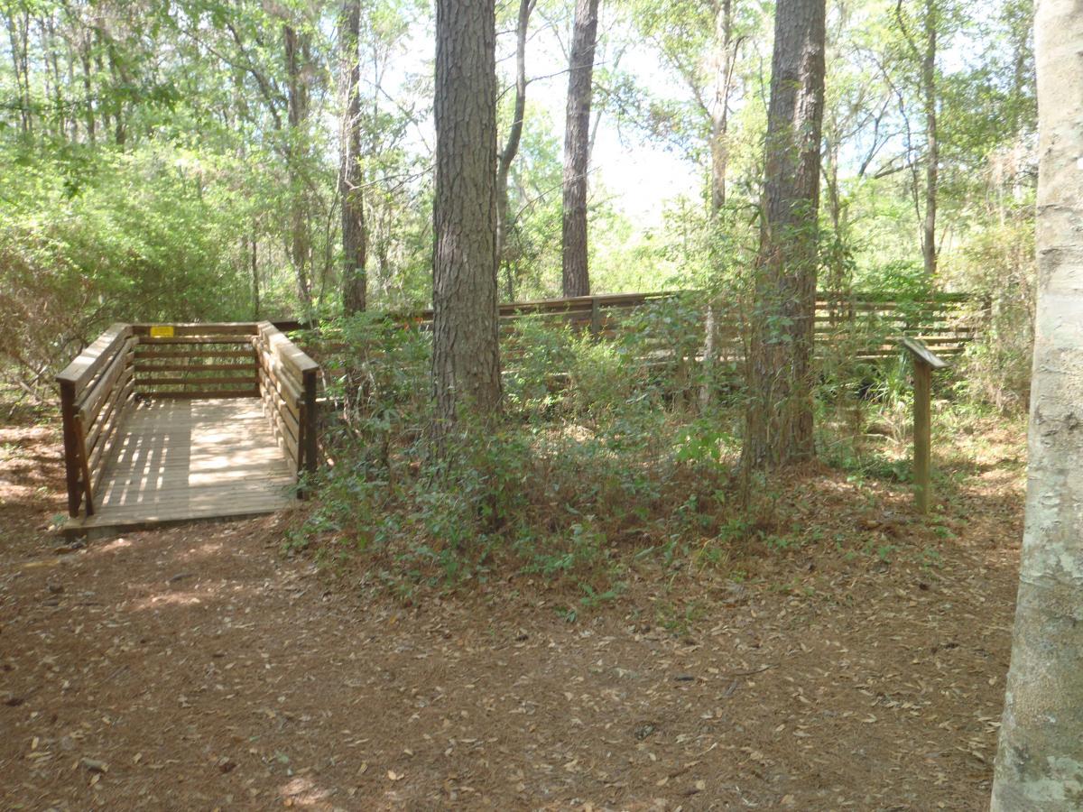 A wooden walkway leading through a wooded area, surrounded by green foliage and trees. The path is well-maintained, with a signpost visible on the right side. Sunlight filters through the leaves, creating a serene and natural setting. Hogtown Creek Greenway mountain bike trail.