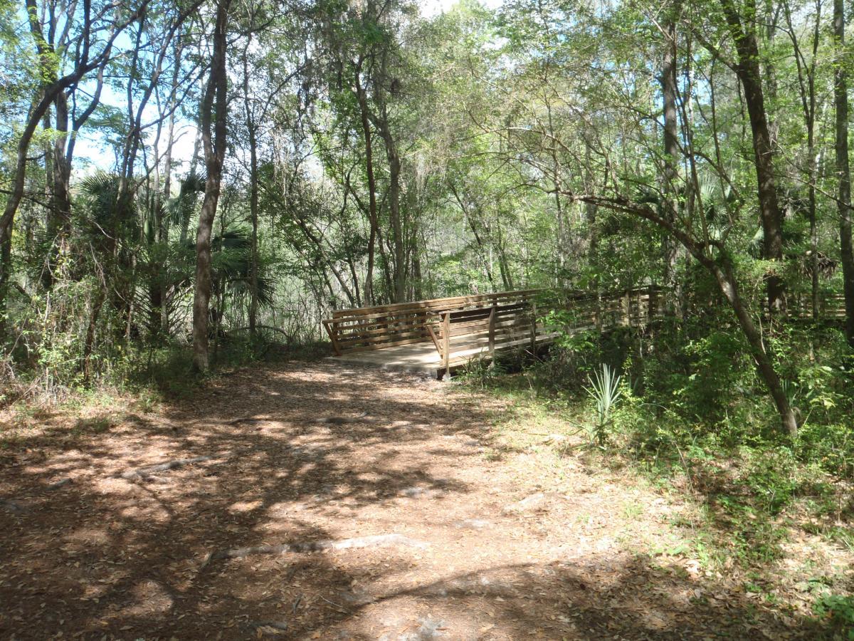A wooden bridge located in a lush forested area, surrounded by trees and greenery, with a clear blue sky peeking through the foliage. The ground is covered in leaves and small rocks, creating a natural path leading up to the bridge. Hogtown Creek Greenway mountain bike trail.