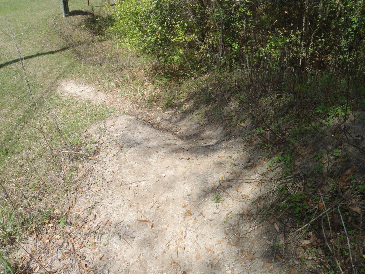 Creekside Mountain Bike Trail in Gainesville, Florida Directions