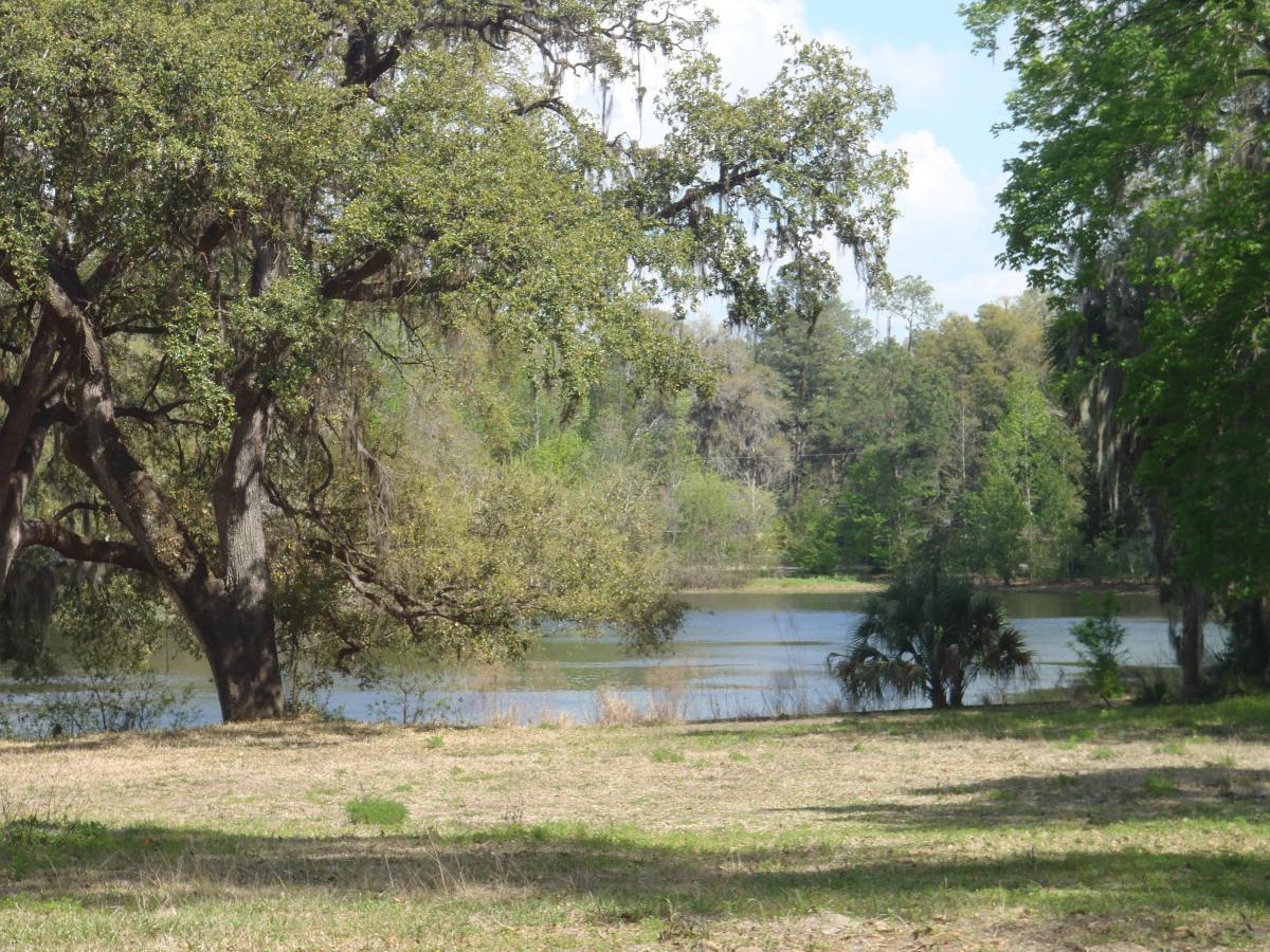 A serene view of a tranquil lake surrounded by lush greenery, featuring large trees with Spanish moss hanging from their branches. The scene captures the peaceful natural landscape, with a clear blue sky above and vibrant foliage reflecting in the calm water. Creekside mountain bike trail.