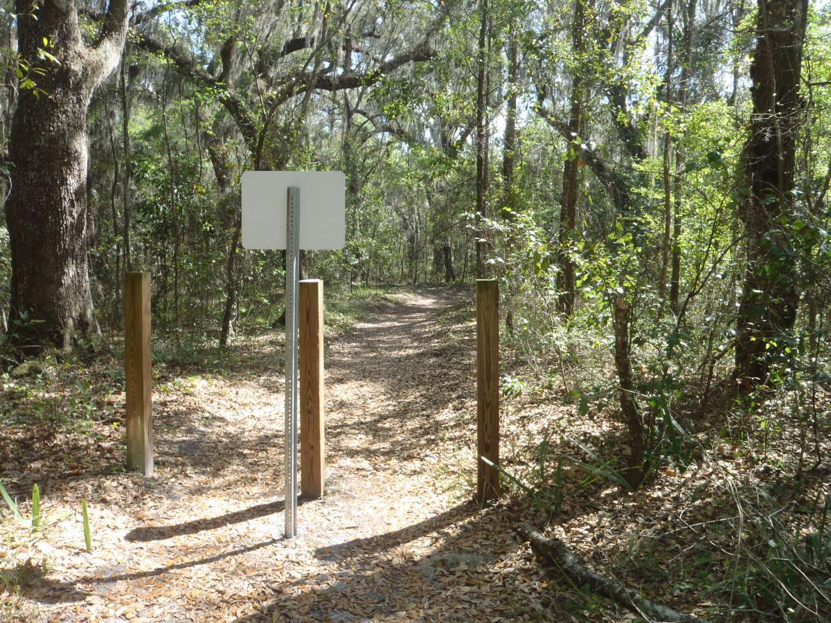 A dirt path leading into a wooded area, flanked by two wooden posts. In the center, a blank white sign stands on a metal pole, indicating the trail entrance. Surrounding foliage includes green leaves and moss, with sunlight filtering through the trees. Fallen leaves cover the ground. Creekside mountain bike trail.
