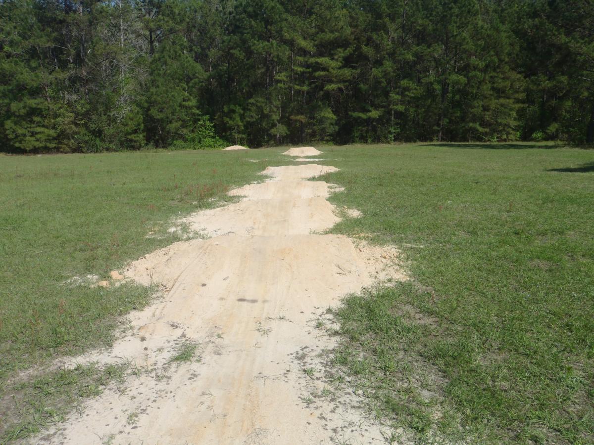 A dirt path leading through a grassy area, with mounds of sand along the sides, surrounded by trees in the background. The Rock Trail mountain bike trail.
