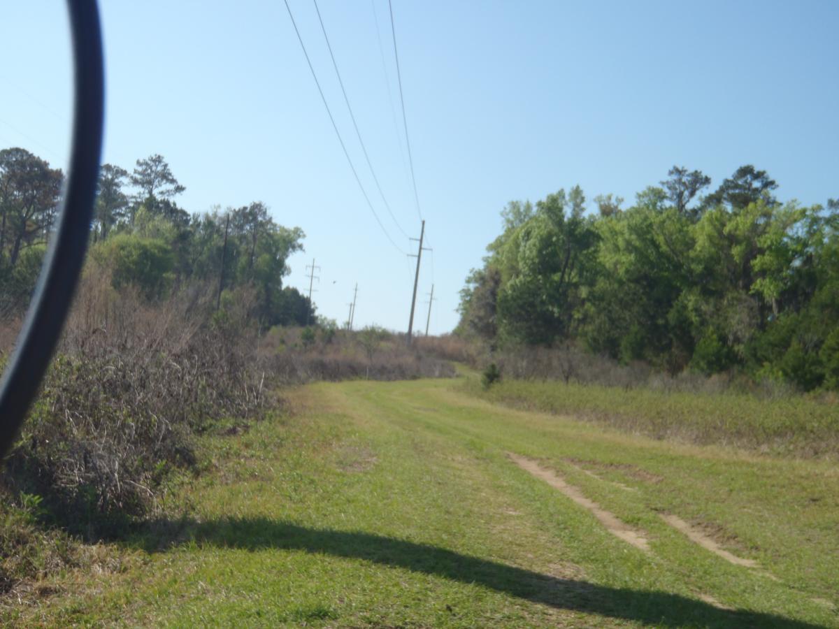 A grassy dirt path lined with power poles on either side, leading through a wooded area under a clear blue sky. San Felasco Hammock Preserve mountain bike trail.