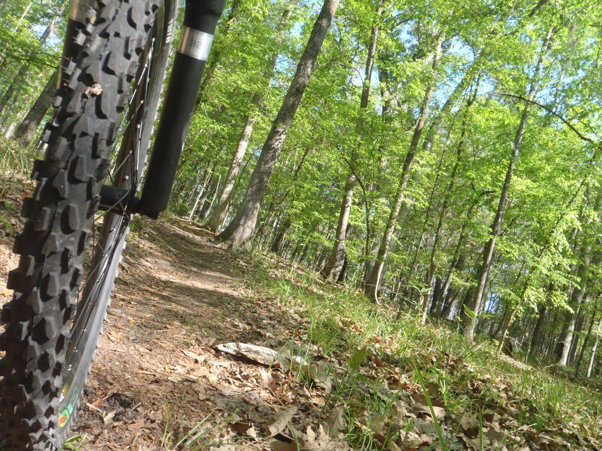 A close-up view of a mountain bike tire on a dirt trail surrounded by lush green trees in a forest. The image captures the perspective of the bike leaning slightly, highlighting the textured tread of the tire and the natural scenery in the background. Conquistador mountain bike trail.