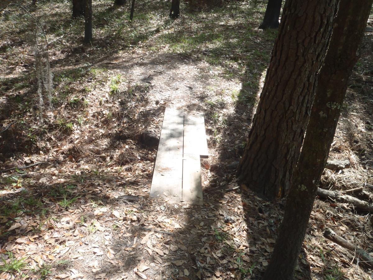 A narrow wooden bridge crossing a small gap in a forested area, surrounded by fallen leaves and trees. Sunlight filters through the trees, creating a dappled light effect on the ground. Hidden Rise mountain bike trail.