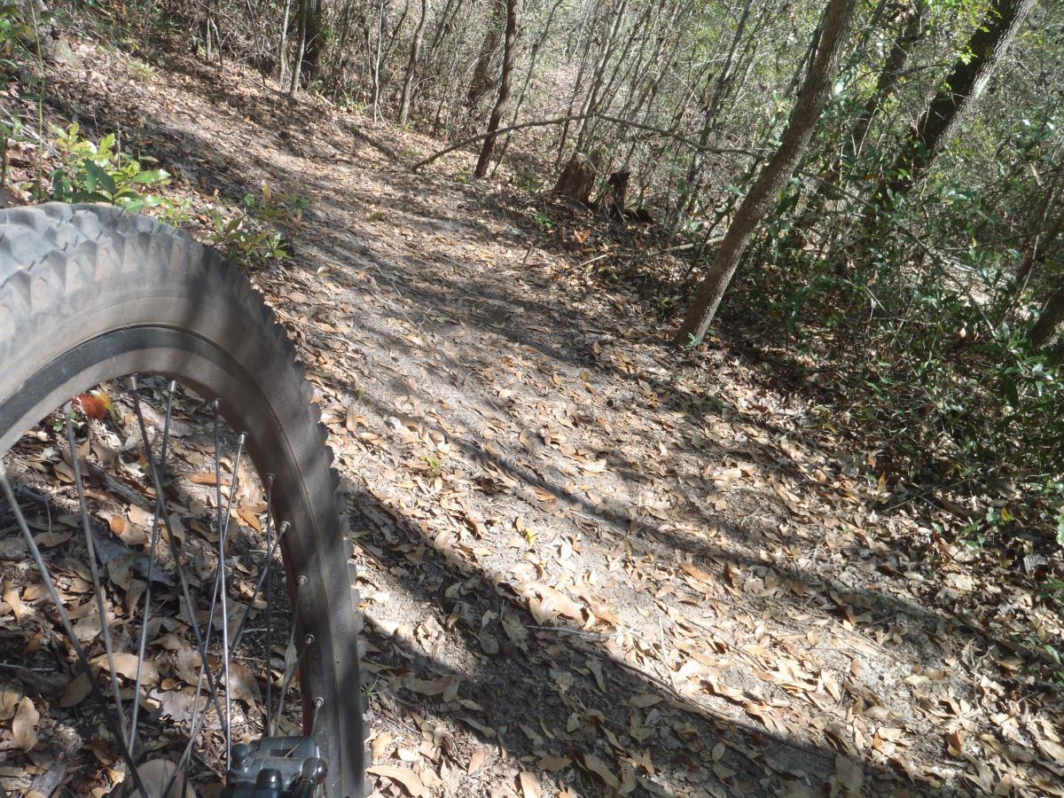 A close-up view of a mountain bike tire on a dirt trail surrounded by trees. Fallen leaves cover the ground, and the path winds into a wooded area. Hidden Rise mountain bike trail.