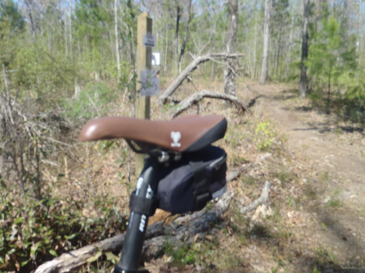A close-up view of a bicycle seat with a small saddle bag, positioned near a trail marker in a wooded area. The background features trees and a narrow dirt path leading into the distance. Hidden Rise mountain bike trail.
