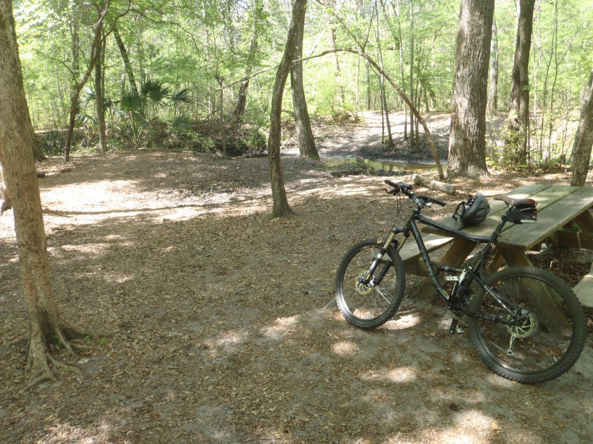 A mountain bike is parked next to a wooden picnic table in a lush, wooded area. Sunlight filters through the trees, illuminating the forest floor covered with leaves and dirt. In the background, a small creek can be seen winding through the greenery. San Felasco Hammock Preserve mountain bike trail.