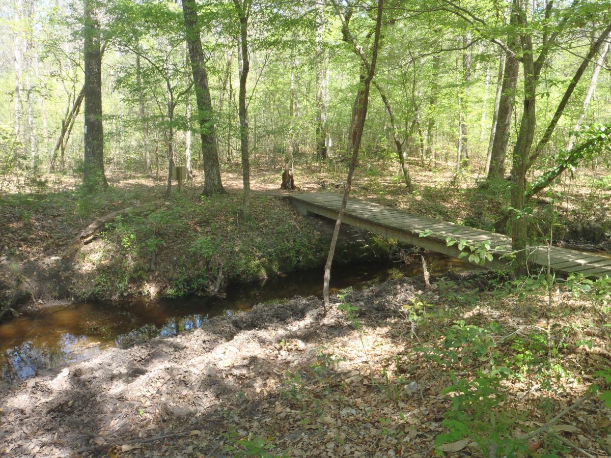 A wooden footbridge spans a small stream in a lush, green forest. Tall trees surround the area, with dappled sunlight filtering through the leaves, creating a serene and peaceful atmosphere. Dry leaves cover the ground, highlighting the tranquility of the natural setting. San Felasco Hammock Preserve mountain bike trail.