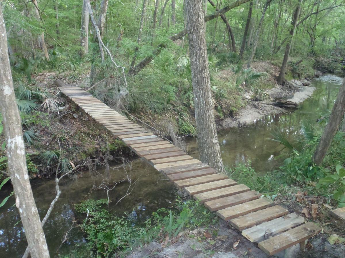 A wooden footbridge crosses over a shallow stream in a lush green forest. The path is flanked by trees and vibrant undergrowth, creating a serene natural setting. Esterbrook Trails mountain bike trail.
