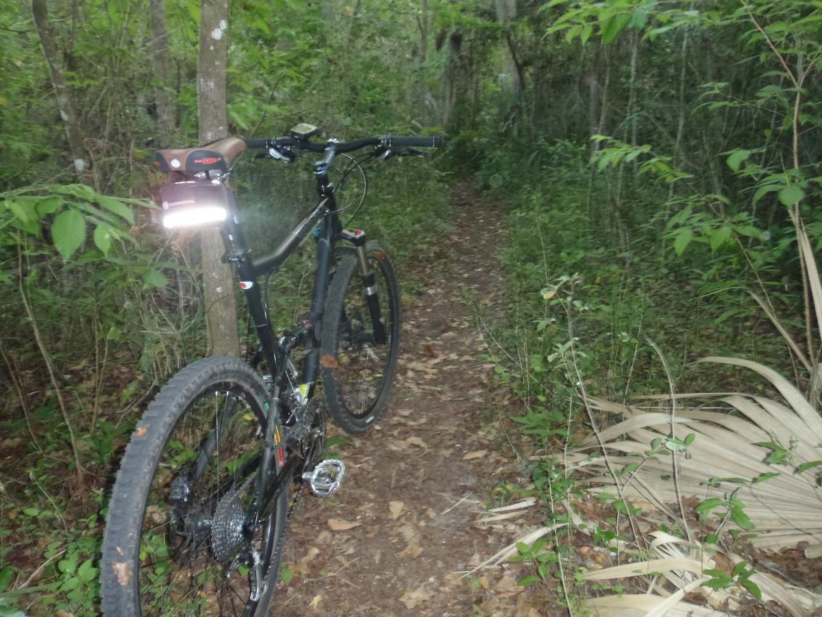 A mountain bike parked on a narrow dirt trail surrounded by dense greenery in a forest. The bike features a front light and is positioned near a tree, with fallen leaves and overgrown plants visible on the ground. Esterbrook Trails mountain bike trail.