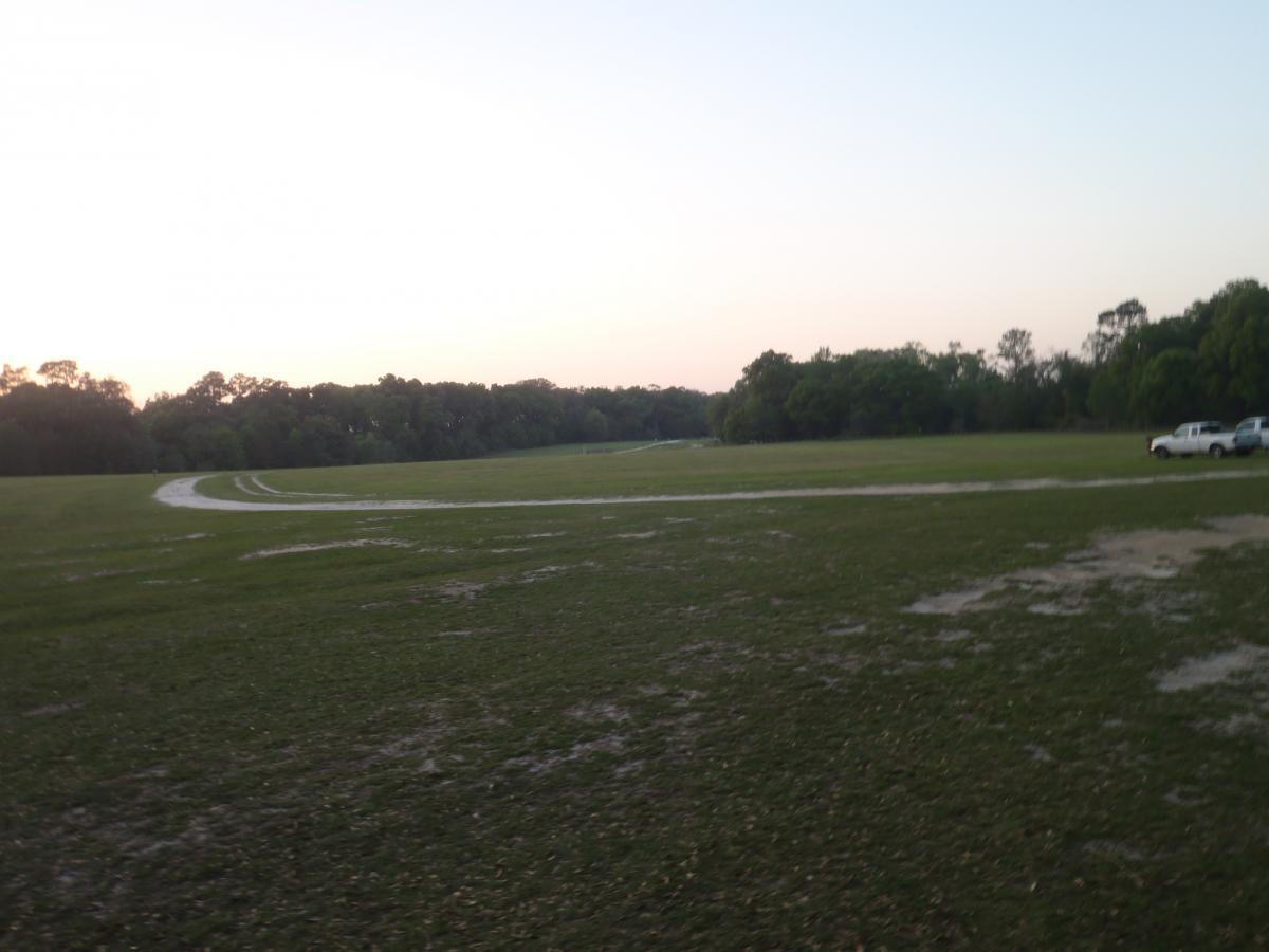 A wide open grass field with a dirt track winding through it, bordered by trees in the background. The scene is set during twilight, with soft lighting illuminating the landscape. A few vehicles are parked on the right side of the image. San Felasco Hammock Preserve mountain bike trail.
