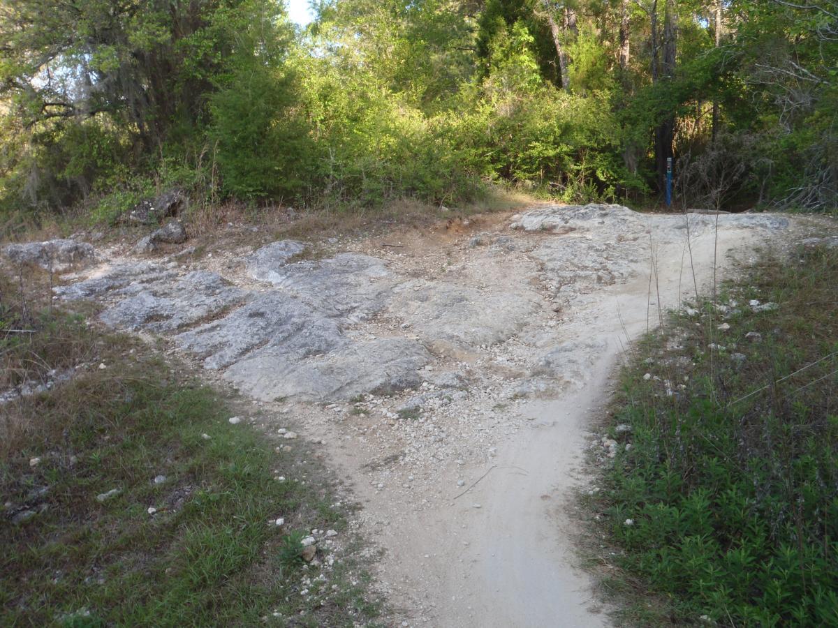 A dirt path winding through a natural area, with rocky terrain to one side and greenery on both sides. The path appears to lead into a wooded area, surrounded by grass and small plants. Dr Ruth mountain bike trail.