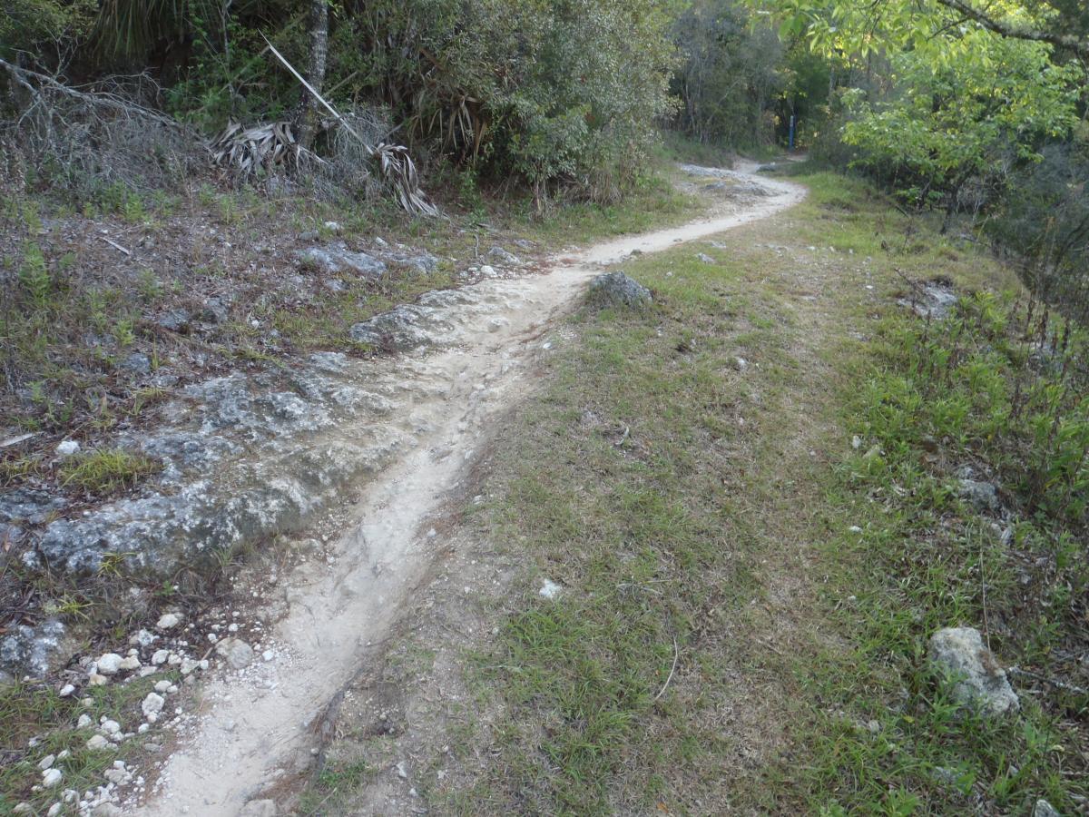 A winding dirt path surrounded by greenery and rocky terrain, leading into a wooded area. The trail is slightly overgrown with grass on either side, and the background features dense foliage. Dr Ruth mountain bike trail.