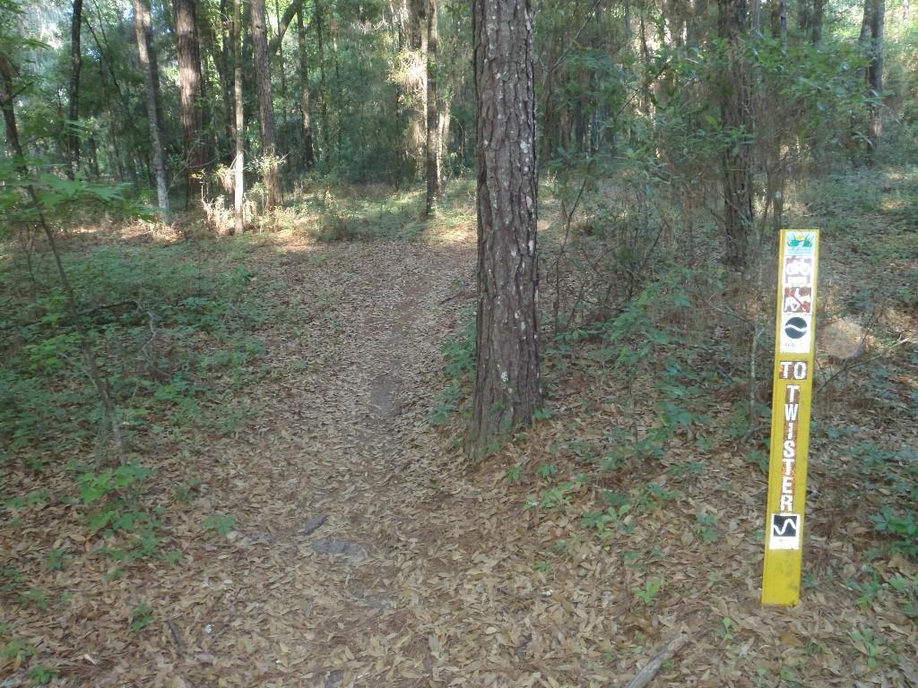 A dirt path lined with fallen leaves winding through a forest, with a yellow trail marker on the right that indicates the direction to "Twister." The marker has various symbols and logos for biking and hiking, surrounded by lush green foliage and tall trees. Santos mountain bike trail.