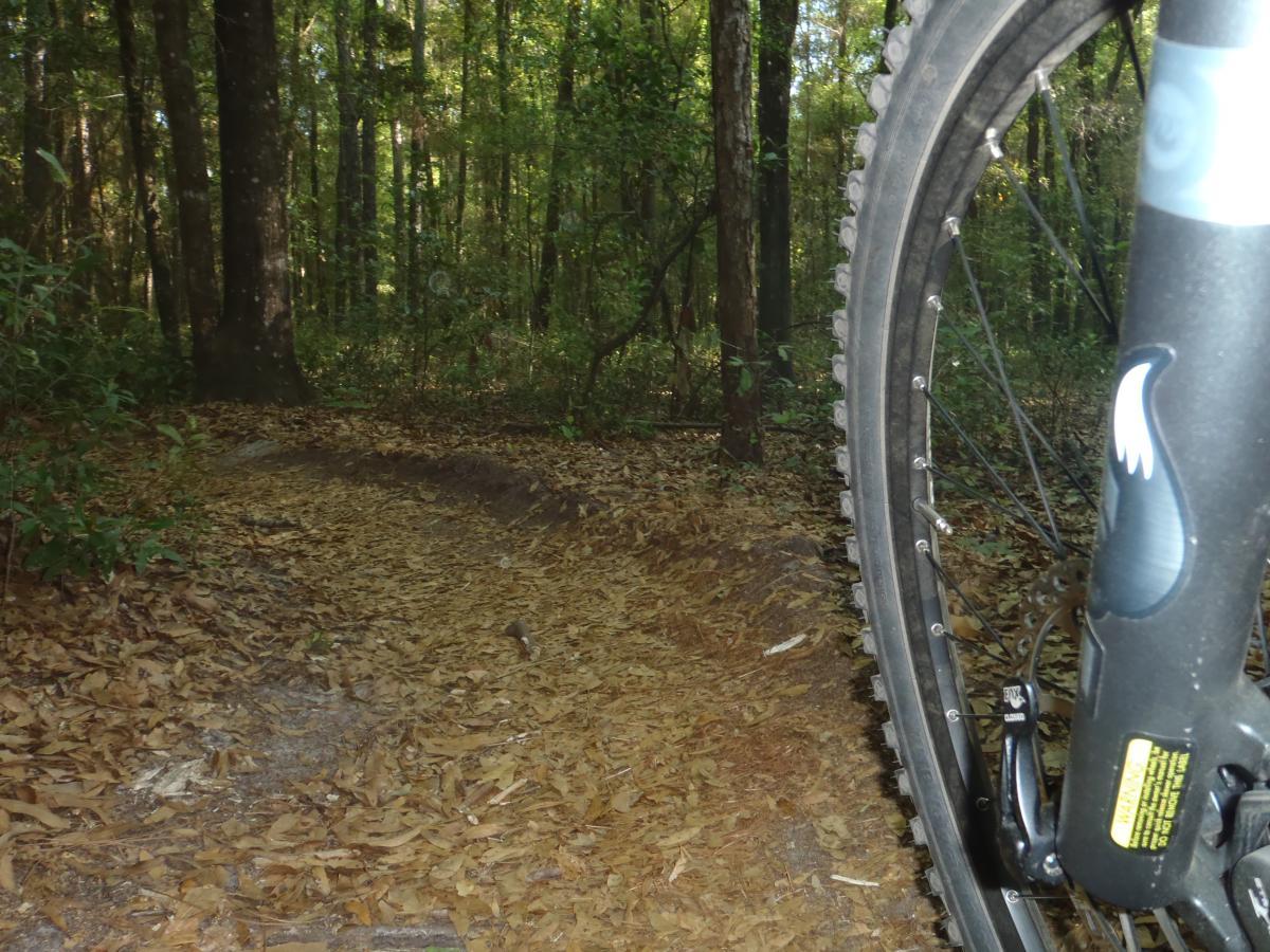 A close-up view of a mountain bike wheel positioned beside a forested trail covered with fallen leaves. Trees and dense greenery are visible in the background, indicating a natural outdoor setting. Twister mountain bike trail.