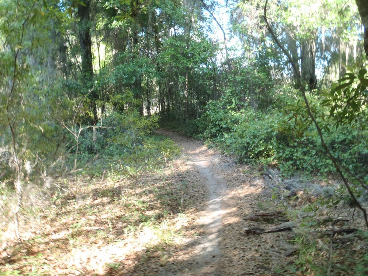  Dog Bone mountain bike trail.