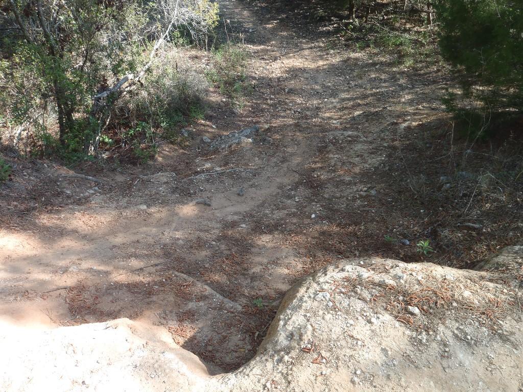 A dirt trail winding through a wooded area, with scattered rocks and leaves along the path. Sunlight filters through the trees, illuminating the uneven terrain that slopes downwards. Santos mountain bike trail.