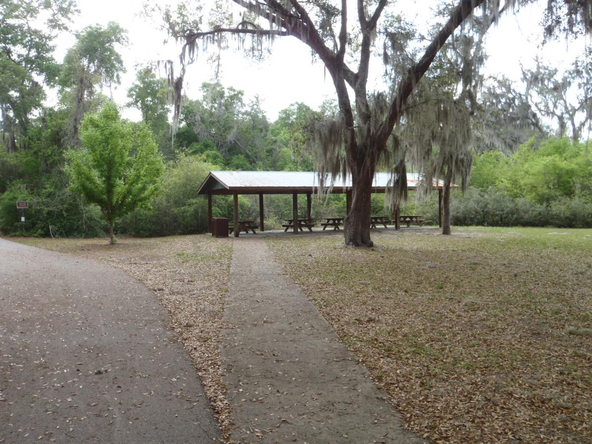 A serene park landscape featuring a gravel path winding through a grassy area. To the right, there is a covered picnic pavilion with a metal roof and several wooden picnic tables underneath. Surrounding the pavilion are trees with Spanish moss, and lush greenery in the background. The scene is quiet and inviting, ideal for outdoor gatherings or leisurely walks. Gainesville-Hawthorne State Trail mountain bike trail.