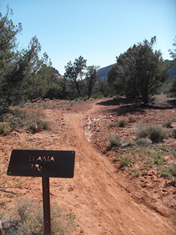 A dirt trail winding through a natural landscape, with a sign marked "LLAMA TRAIL" in the foreground. The scene features green shrubs and trees on either side, with rocky mountains visible in the distance under a clear blue sky. Llama Trail mountain bike trail.