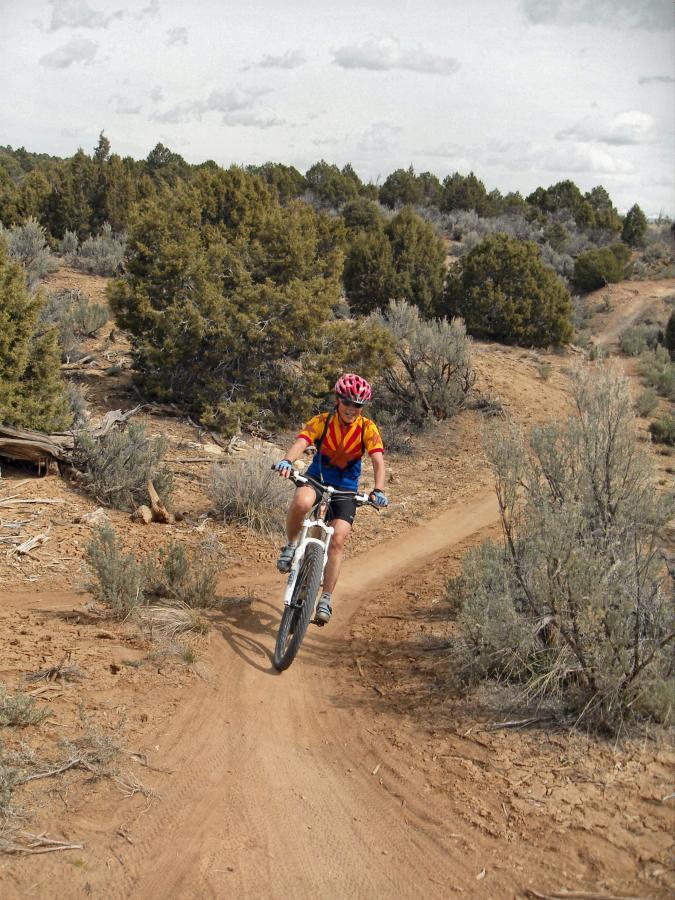 A child riding a mountain bike on a dirt trail in a rugged outdoor setting, surrounded by shrubs and trees. The child is wearing a bright helmet and colorful cycling attire, showcasing an active lifestyle in nature. Hippie House Loop mountain bike trail.
