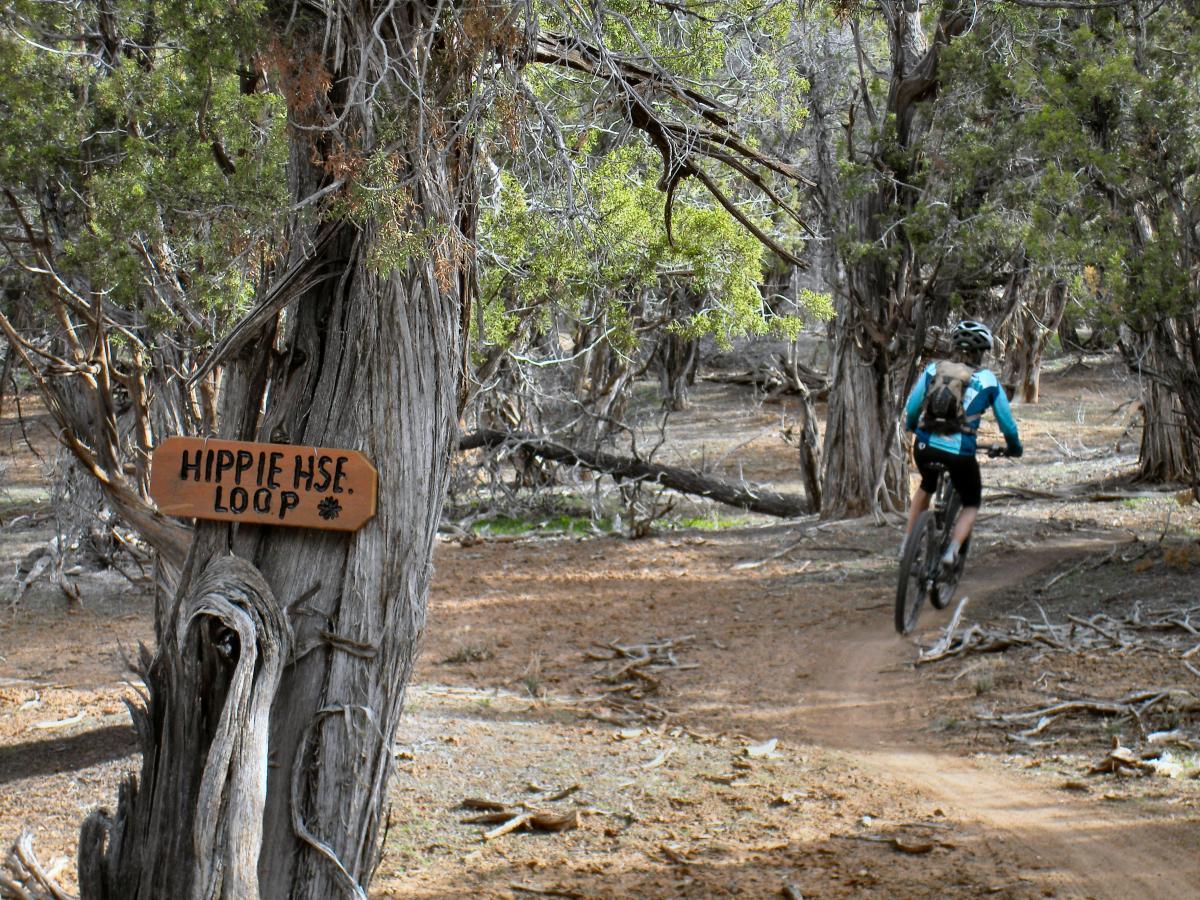 A mountain biker riding along a dirt path in a wooded area, with a wooden sign marked "Hippie Hse. Loop" attached to a tree in the foreground. The scene features a mix of green foliage and bare trees, showcasing a tranquil outdoor environment. Hippie House Loop mountain bike trail.