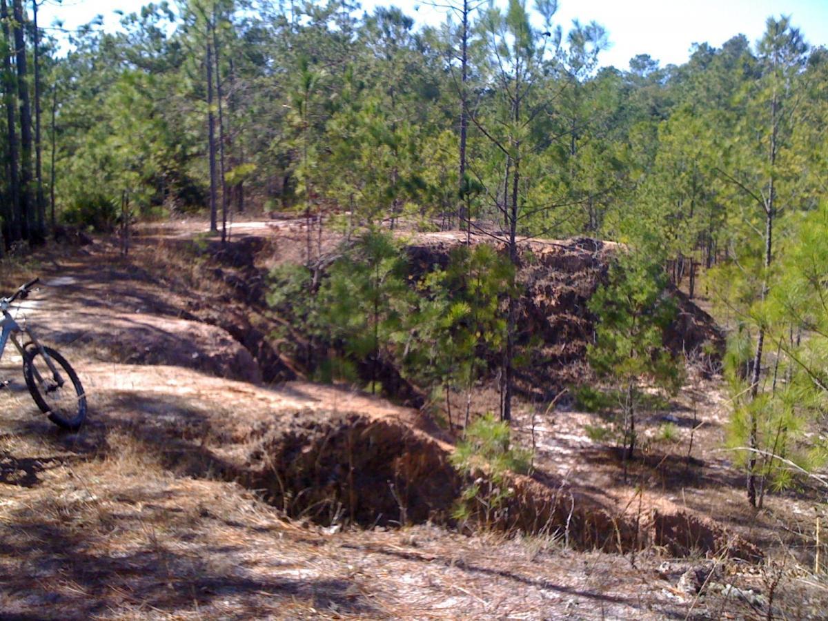 A mountain bike parked on a dirt path next to a steep embankment surrounded by pines and a wooded area under clear blue skies. Santos mountain bike trail.