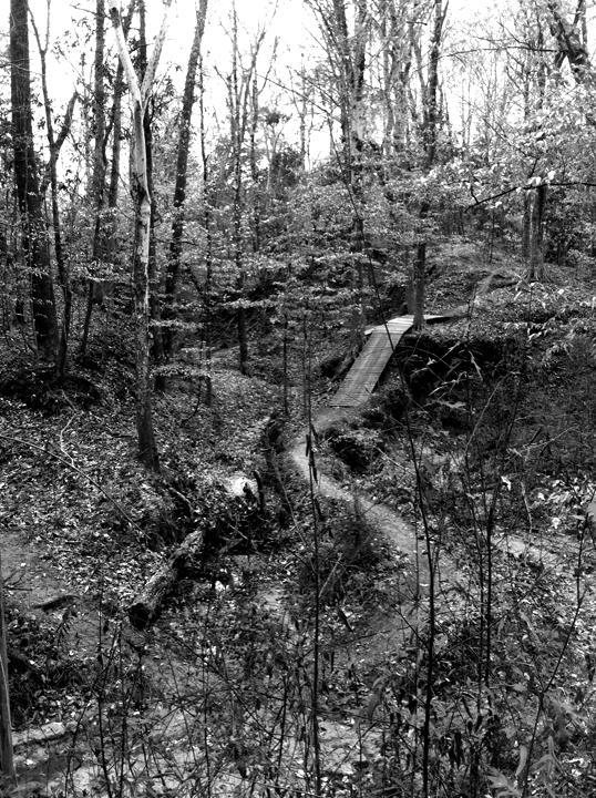 A black and white image of a wooded area featuring a small wooden bridge over a creek. The scene includes dense trees and foliage, a winding path, and fallen logs on the forest floor, evoking a tranquil, natural setting. The Beast mountain bike trail.