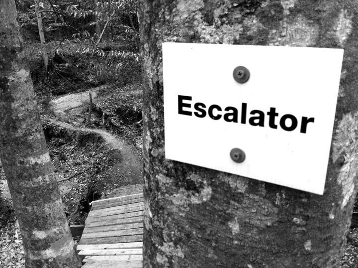 A close-up view of a sign labeled "Escalator" attached to a tree, with a wooden path visible in the background. The image is in black and white, showcasing a forested area with a winding trail leading away from the sign. The Beast mountain bike trail.