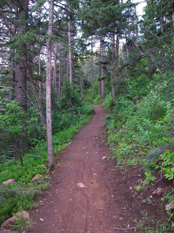  Chimney Gulch mountain bike trail.