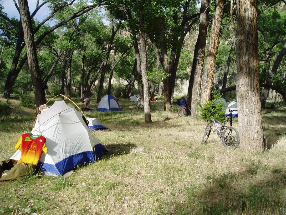 A serene camping scene in a wooded area, featuring several colorful tents set up within a grassy clearing. Tall trees provide a natural canopy, with a few bicycles parked nearby. A person is seen working on a tent in the background, capturing the essence of outdoor adventure and relaxation. Paradox Trail mountain bike trail.