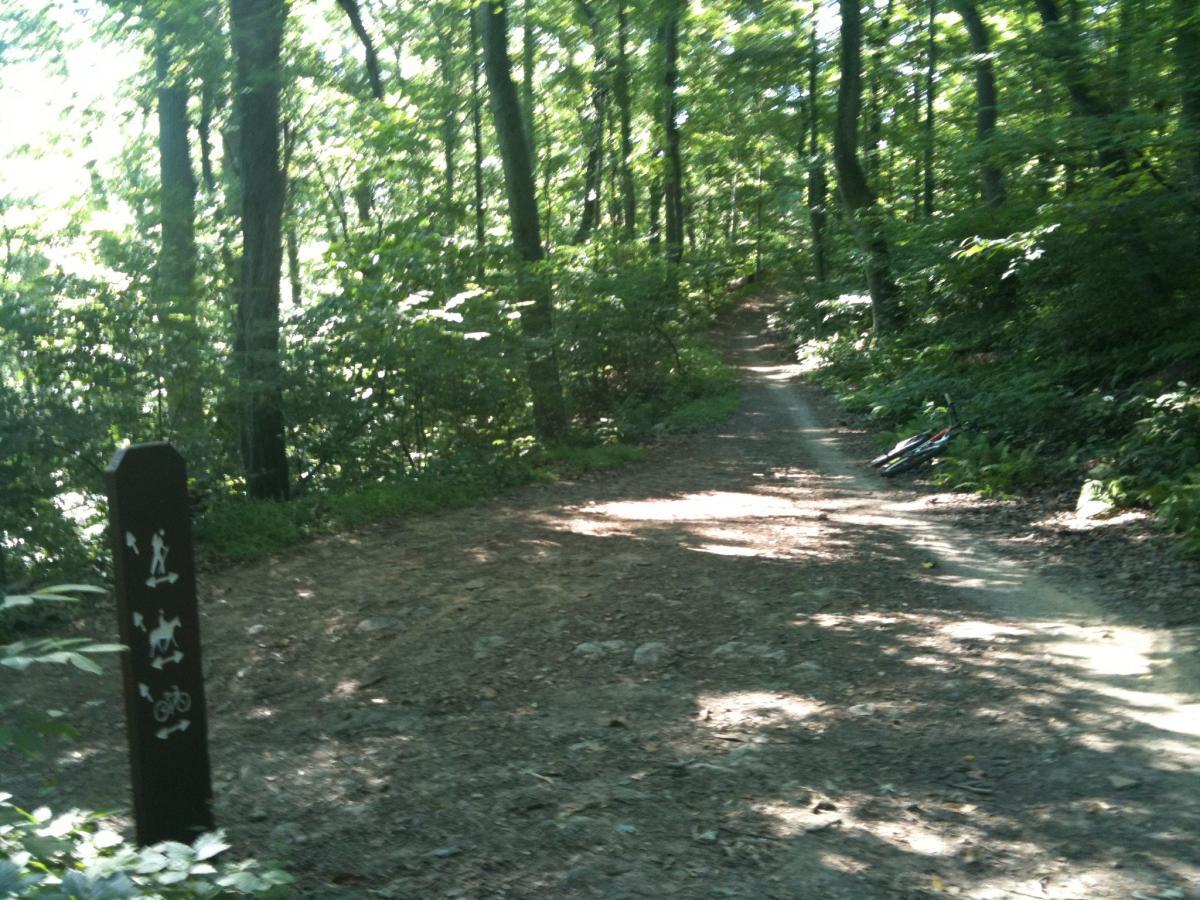 A dirt path winding through a dense forest, with sunlight filtering through the leaves. A wooden sign with symbols indicating hiking, horseback riding, and biking is positioned at the trailhead. Lush greenery surrounds the path, creating a serene outdoor atmosphere. Wissahickon Valley Park mountain bike trail.