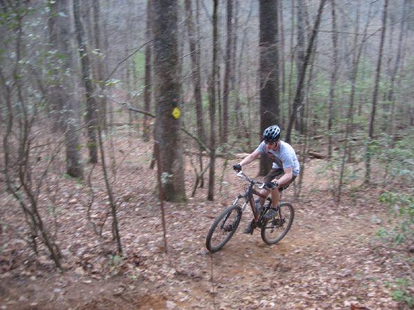 A mountain biker navigating a dirt trail in a wooded area, surrounded by trees and fallen leaves, wearing a helmet and cycling gear. Black Branch Connector mountain bike trail.