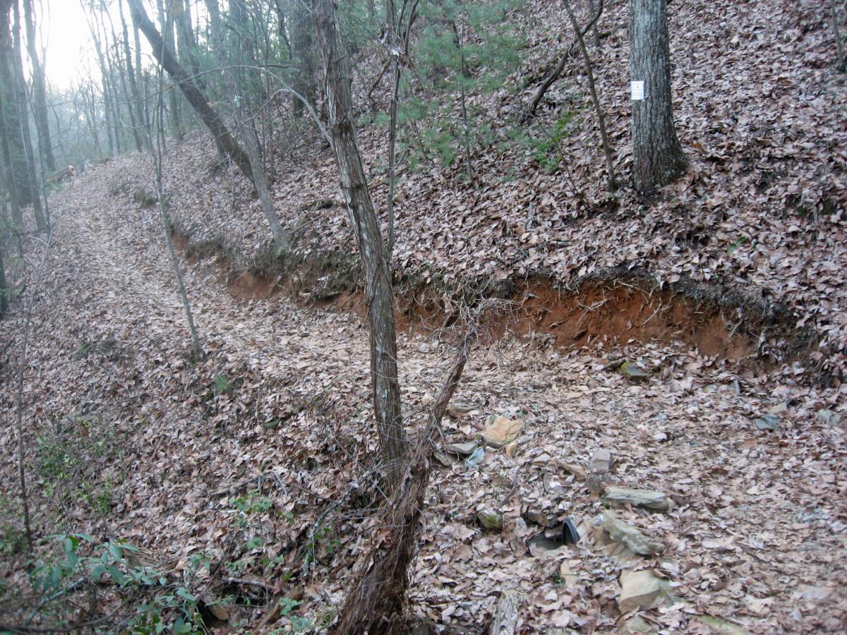 A winding dirt path lined with fallen leaves and surrounded by trees in a wooded area. Small rocks are scattered along the trail, which leads through a landscape of earthy tones and natural greenery. Bull Mountain / 223 mountain bike trail.