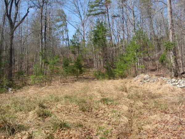 A grassy clearing in a forested area, featuring bare trees and patches of green foliage. The scene is set under a clear blue sky, with a gentle slope leading into the trees in the background. Rocky terrain is visible on the right side, blending with the natural landscape. Blackburn State Park mountain bike trail.