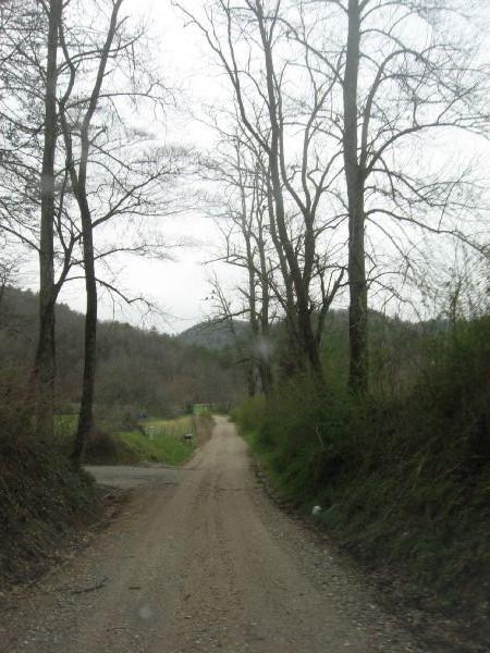 A narrow dirt road winding through a rural landscape, bordered by tall, bare trees on either side. The scene is set on a cloudy day with gray skies, leading towards distant hills in the background. Canada Creek mountain bike trail.
