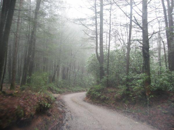 A winding gravel path leads through a misty forest, surrounded by tall trees and lush greenery. The atmosphere is serene and foggy, creating a sense of tranquility and mystery in the natural setting. Canada Creek mountain bike trail.