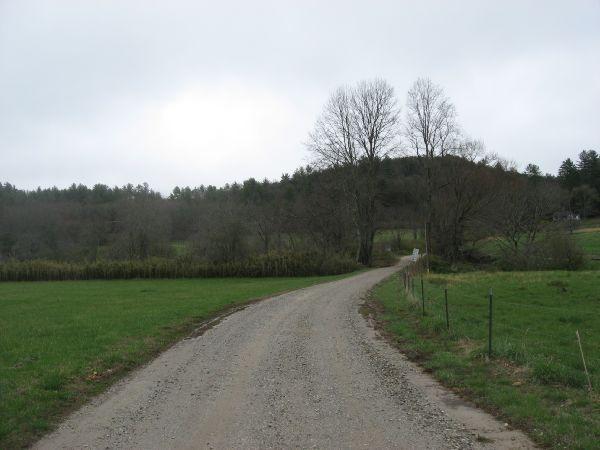 A winding gravel road leads through a lush green field, bordered by a fence and flanked by sparse trees. In the background, a wooded hill rises under a cloudy sky, creating a serene countryside landscape. Canada Creek mountain bike trail.