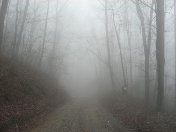 A foggy dirt road surrounded by bare trees, creating a misty and ethereal atmosphere. The visibility is low due to the dense fog, with faint outlines of the road and trees barely discernible. Canada Creek mountain bike trail.